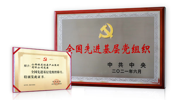 j9游戏党委荣获“全国先进基层党组织” j9游戏党委荣获“全国先进基层党组织”