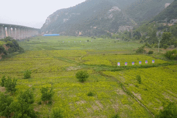 j9游戏,j9游戏路地药材 j9游戏,j9游戏路地药材