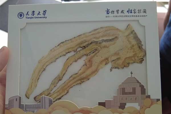 J9游戏·【中国】官方网站