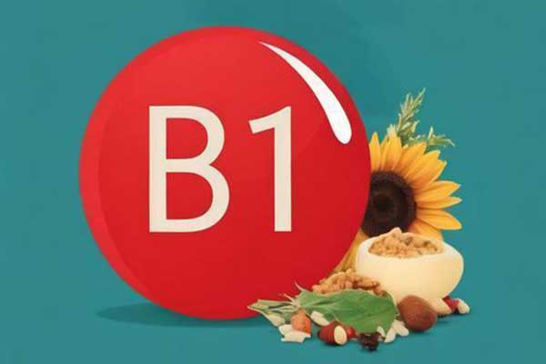 J9��Ϸ�����й����ٷ���վ