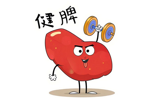 脾虚,健脾 脾虚,健脾